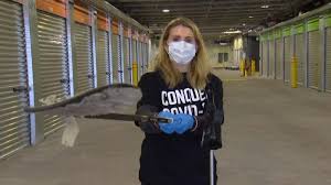 Hayley Wickenheiser begins PPE drive
